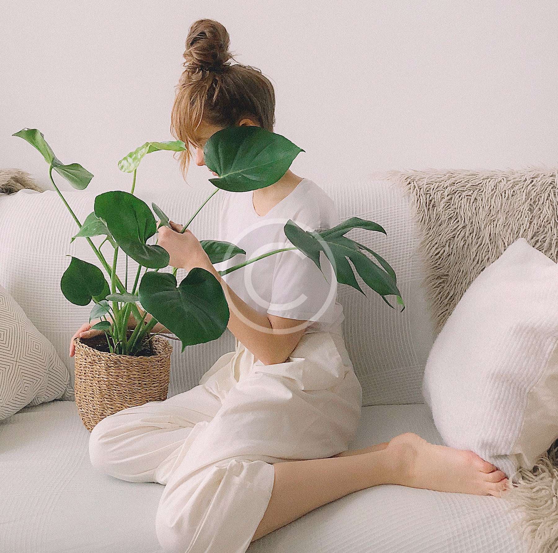 Interior Shoot